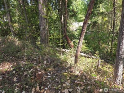 22137 Clear Lake Boulevard SE, Yelm, WA 98597 - Photo 2