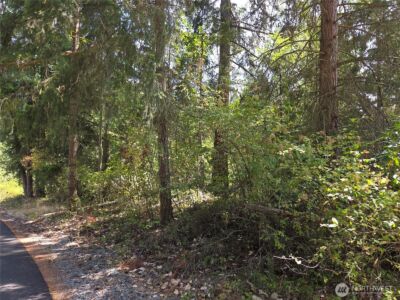 22137 Clear Lake Boulevard SE, Yelm, WA 98597 - Photo 3