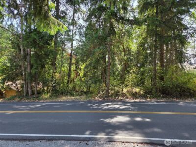 22137 Clear Lake Boulevard SE, Yelm, WA 98597 - Photo 4