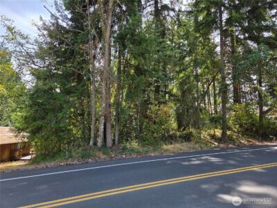 22137 Clear Lake Boulevard SE, Yelm, WA 98597 - Photo 5