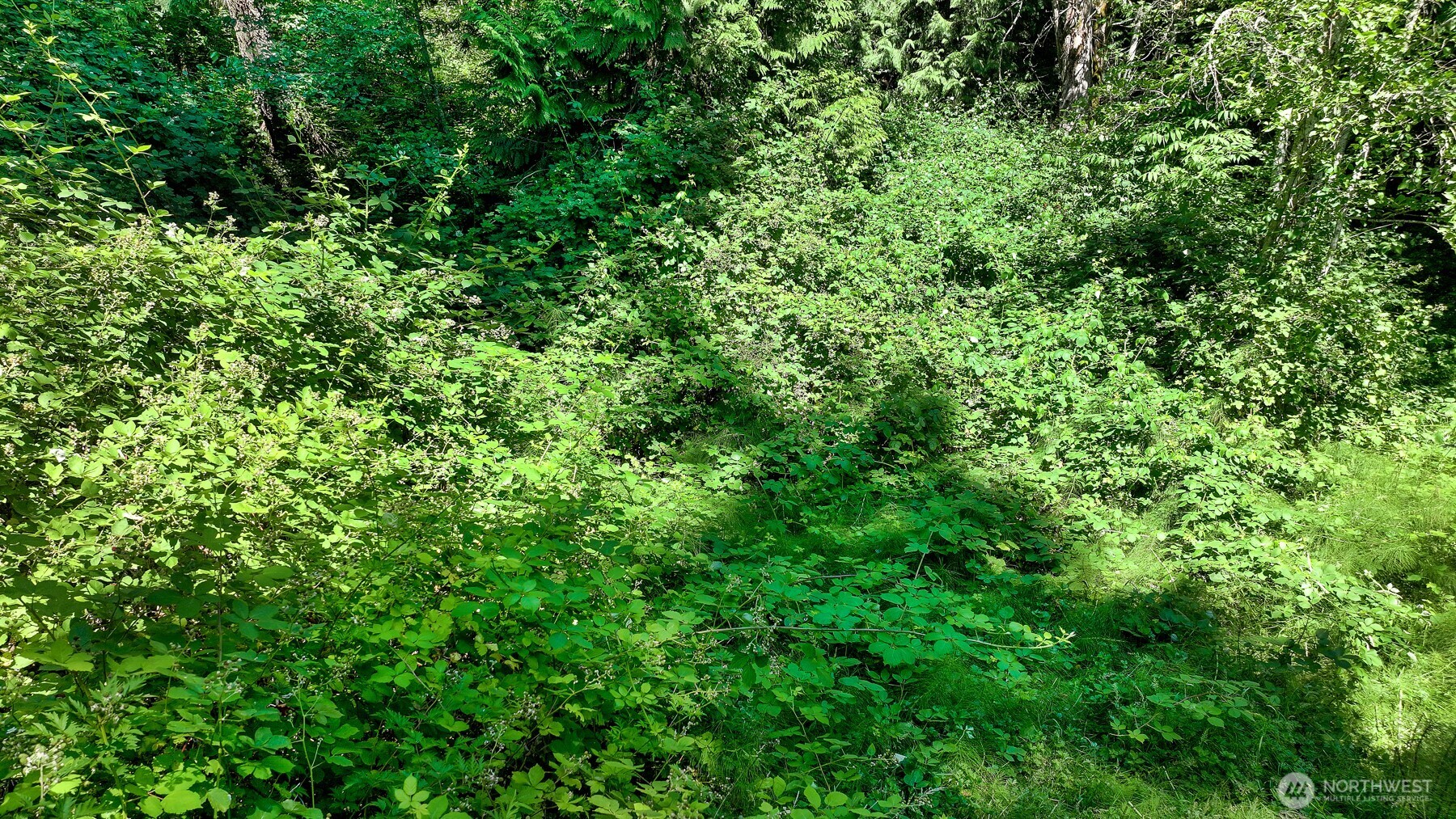 3108 NHN Northshore Road , Bellingham, WA 98226