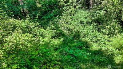 3108 NHN Northshore Road , Bellingham, WA 98226 - Photo 13