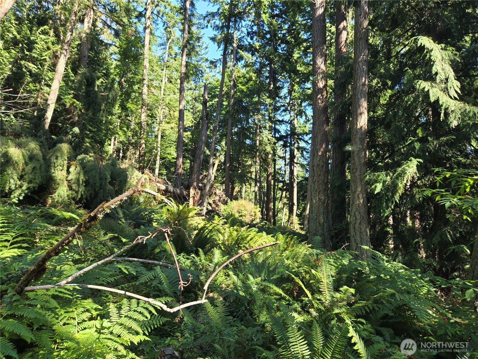 3108 NHN Northshore Road , Bellingham, WA 98226