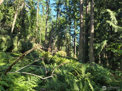 3108 NHN Northshore Road , Bellingham, WA 98226 - Photo 15