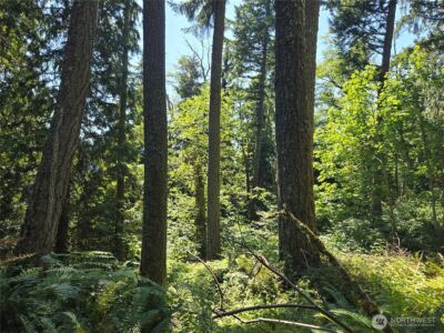 3108 NHN Northshore Road , Bellingham, WA 98226 - Photo 16