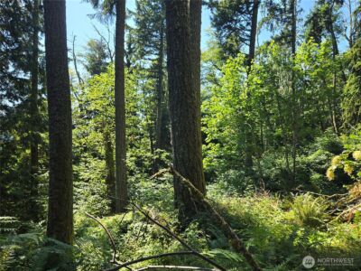 3108 NHN Northshore Road , Bellingham, WA 98226 - Photo 17