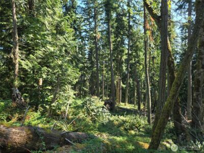 3108 NHN Northshore Road , Bellingham, WA 98226 - Photo 18