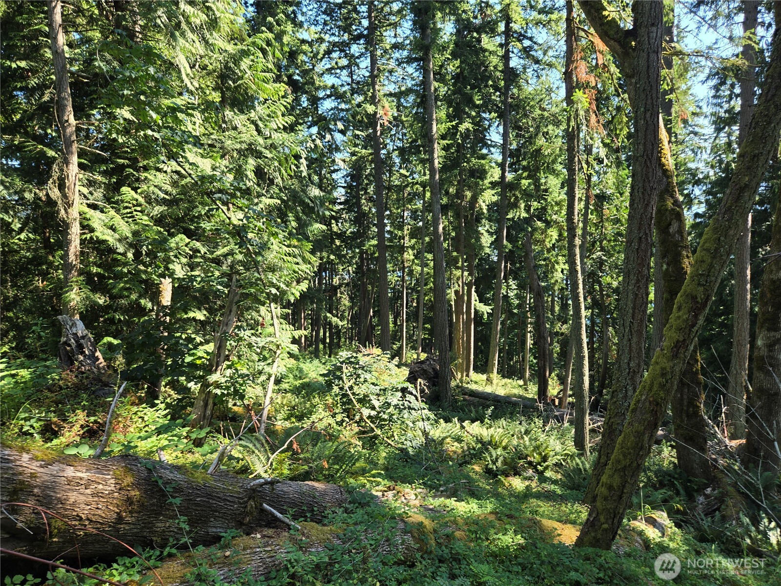 3108 NHN Northshore Road , Bellingham, WA 98226