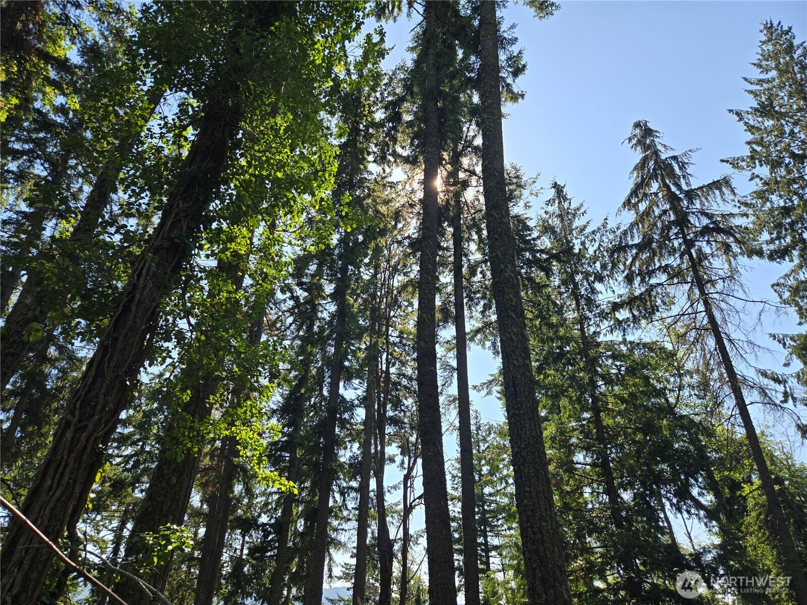 3108 NHN Northshore Road , Bellingham, WA 98226