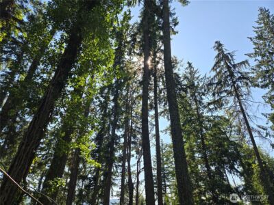 3108 NHN Northshore Road , Bellingham, WA 98226 - Photo 20