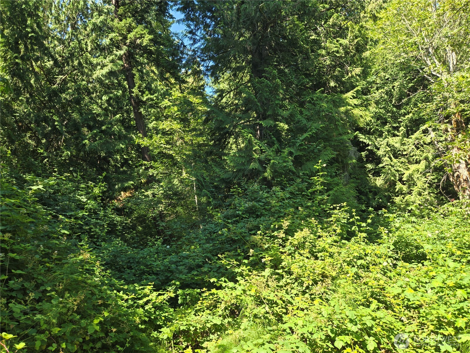 3108 NHN Northshore Road , Bellingham, WA 98226