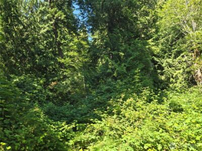 3108 NHN Northshore Road , Bellingham, WA 98226 - Photo 21