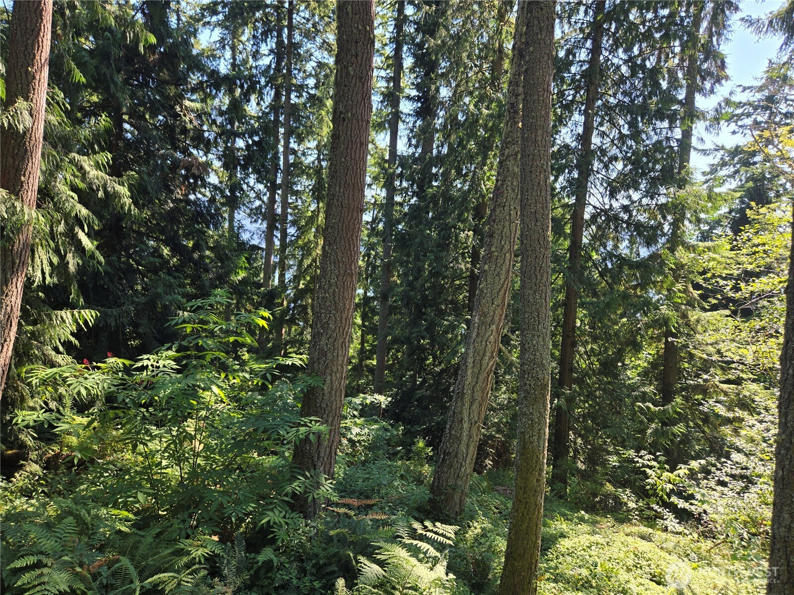 3108 NHN Northshore Road , Bellingham, WA 98226