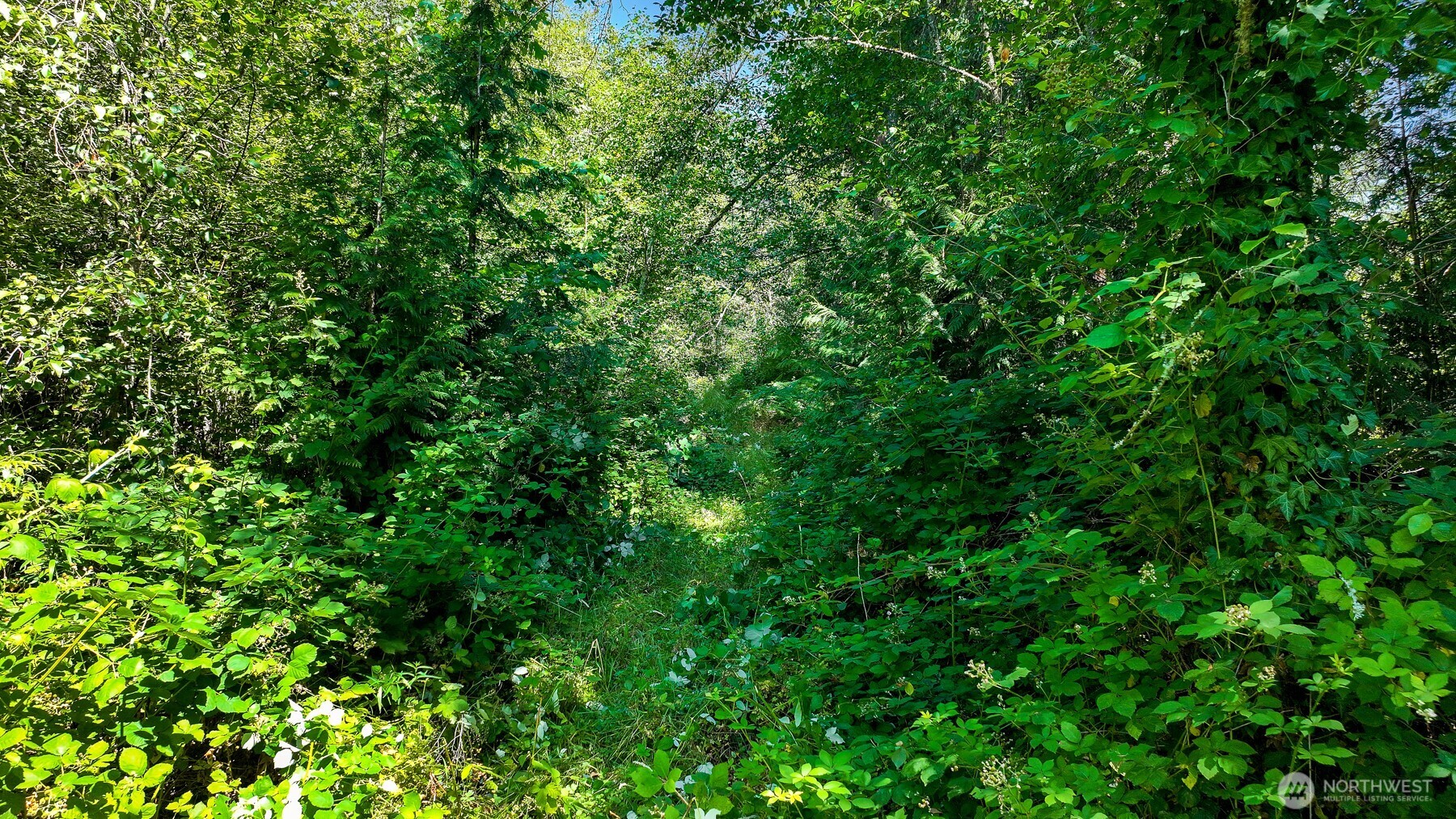 3108 NHN Northshore Road , Bellingham, WA 98226