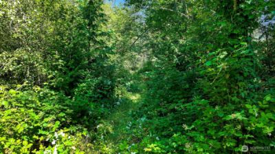 3108 NHN Northshore Road , Bellingham, WA 98226 - Photo 9