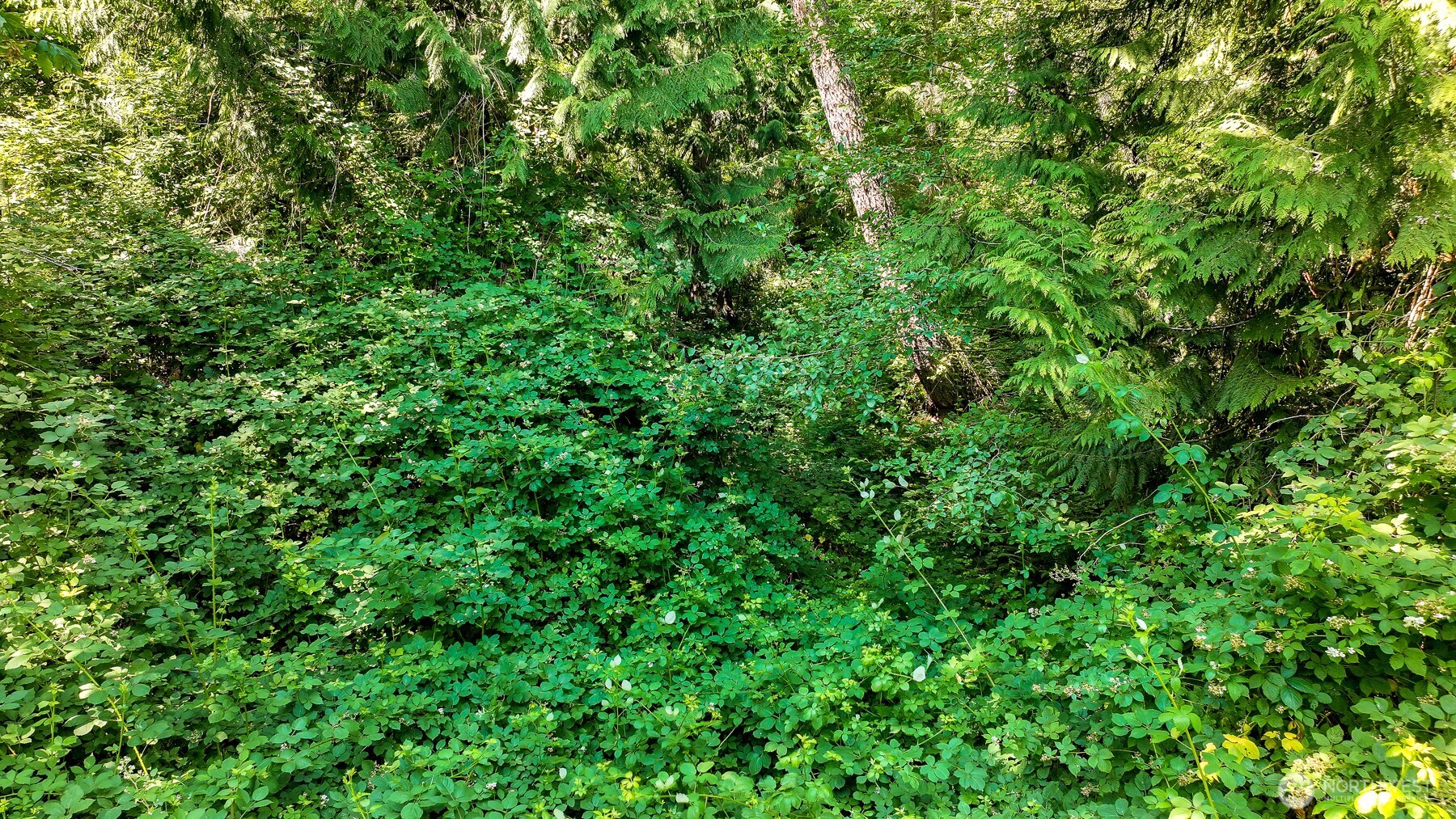 3108 NHN Northshore Road , Bellingham, WA 98226