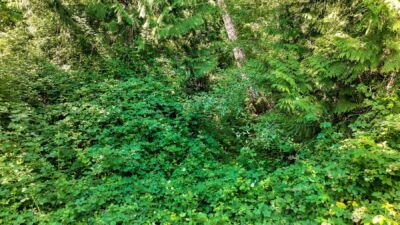 3108 NHN Northshore Road , Bellingham, WA 98226 - Photo 10