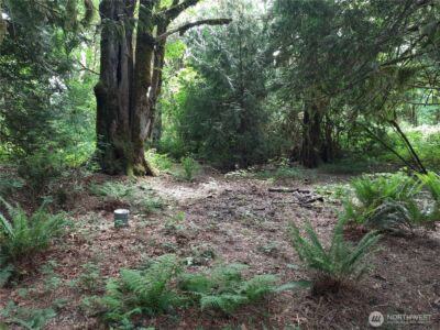 0 Center Street , Concrete, WA 98237 - Photo 2