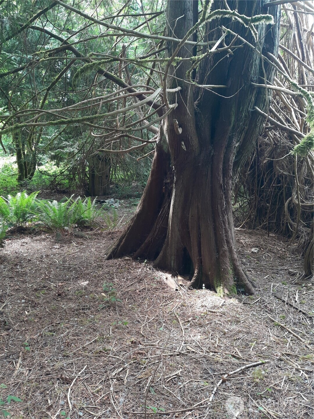 0 Center Street , Concrete, WA 98237