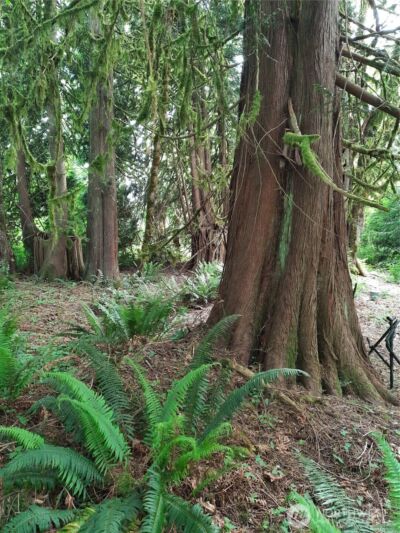 0 Center Street , Concrete, WA 98237 - Photo 7