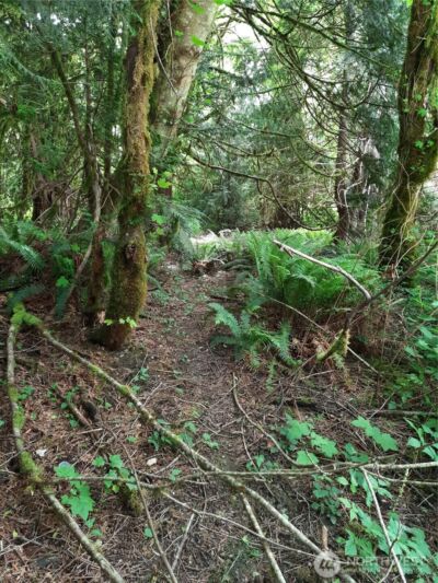 0 Center Street , Concrete, WA 98237 - Photo 8