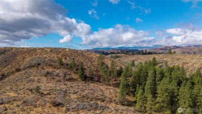 0 TBD Pharr Out - 2 Way , Omak, WA 98841 - Photo 11