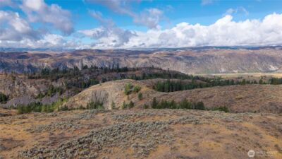 0 TBD Pharr Out - 2 Way , Omak, WA 98841 - Photo 5