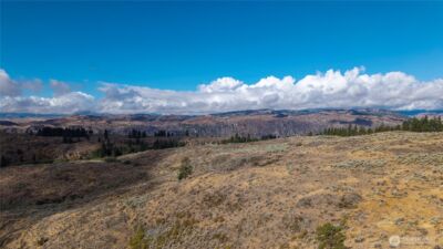 0 TBD Pharr Out - 3 Way , Riverside, WA 98849 - Photo 4