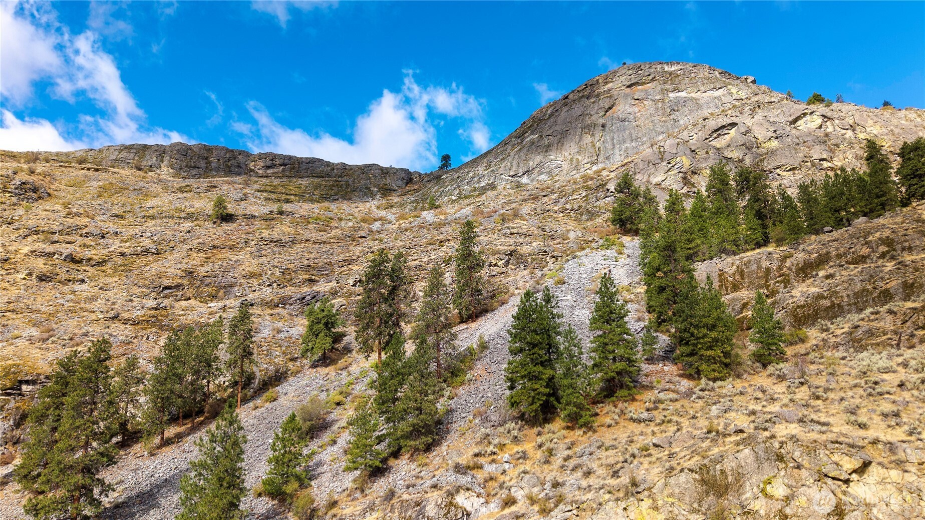 0 TBD Pharr Out - 6 Way , Omak, WA 98841