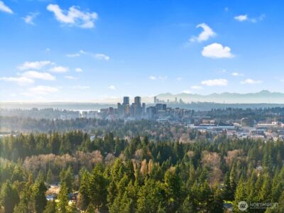 1414 154th Avenue NE #4406, Bellevue, WA 98007 - Photo 33