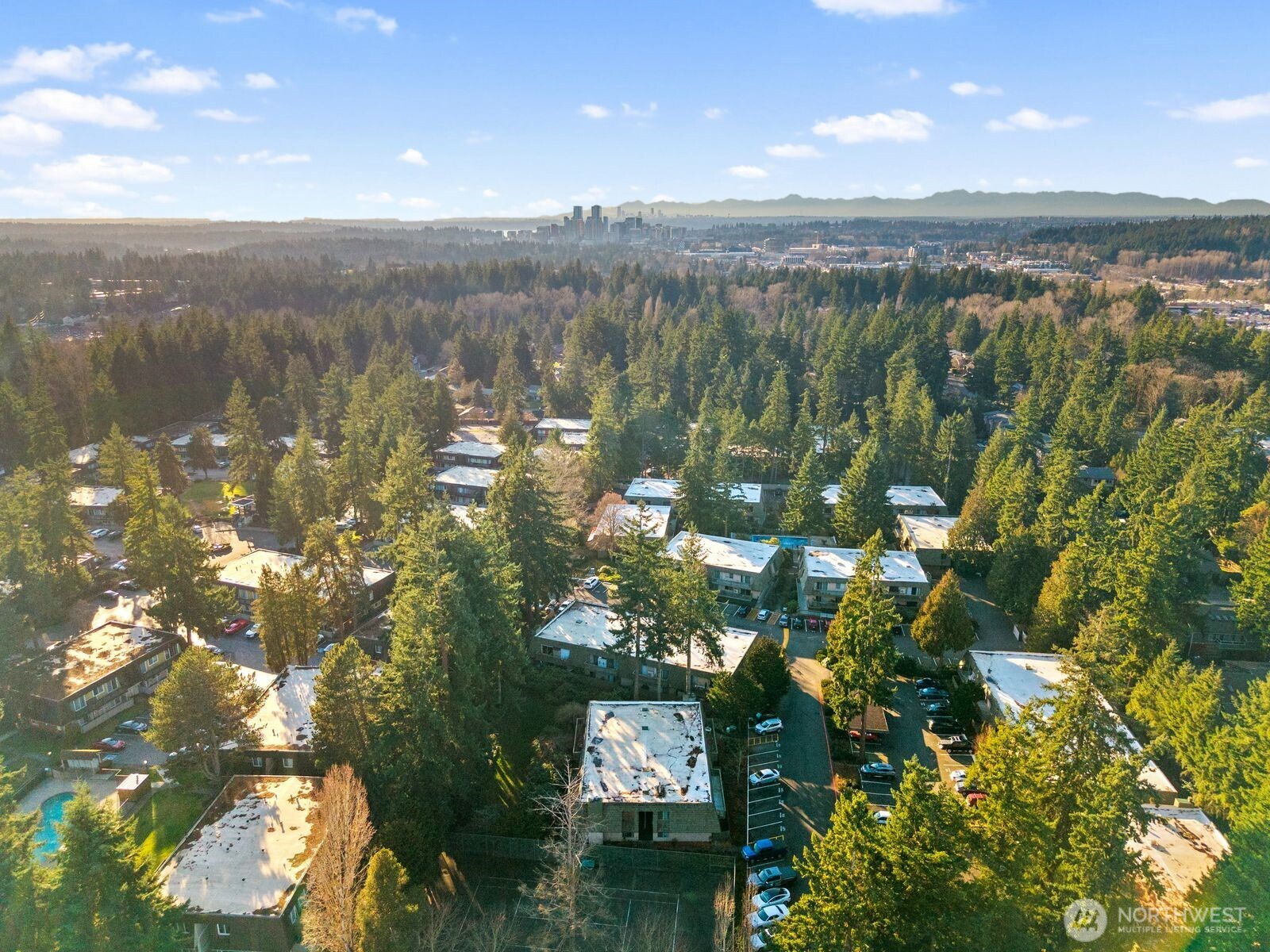 1414 154th Avenue NE #4406, Bellevue, WA 98007