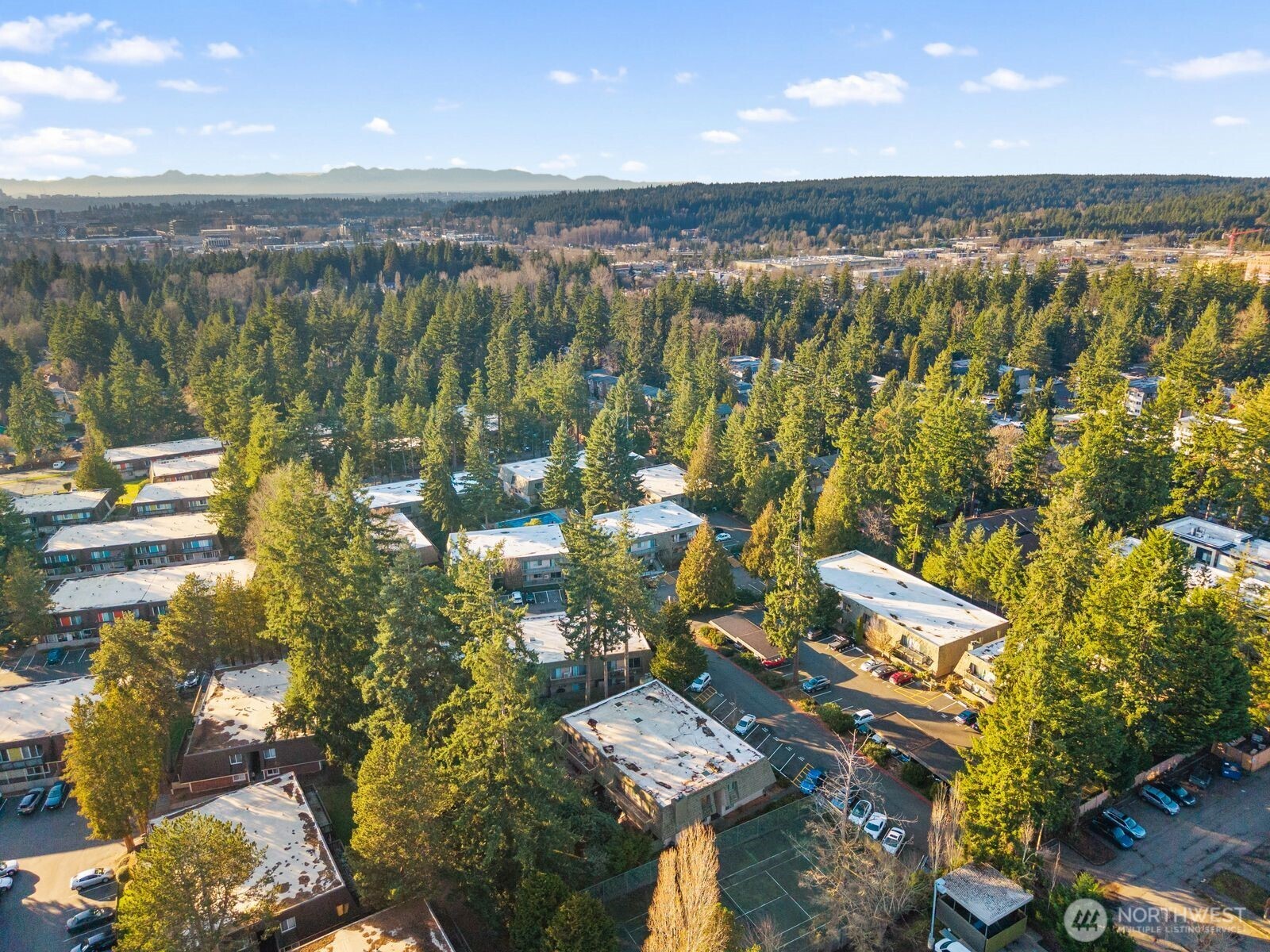 1414 154th Avenue NE #4406, Bellevue, WA 98007