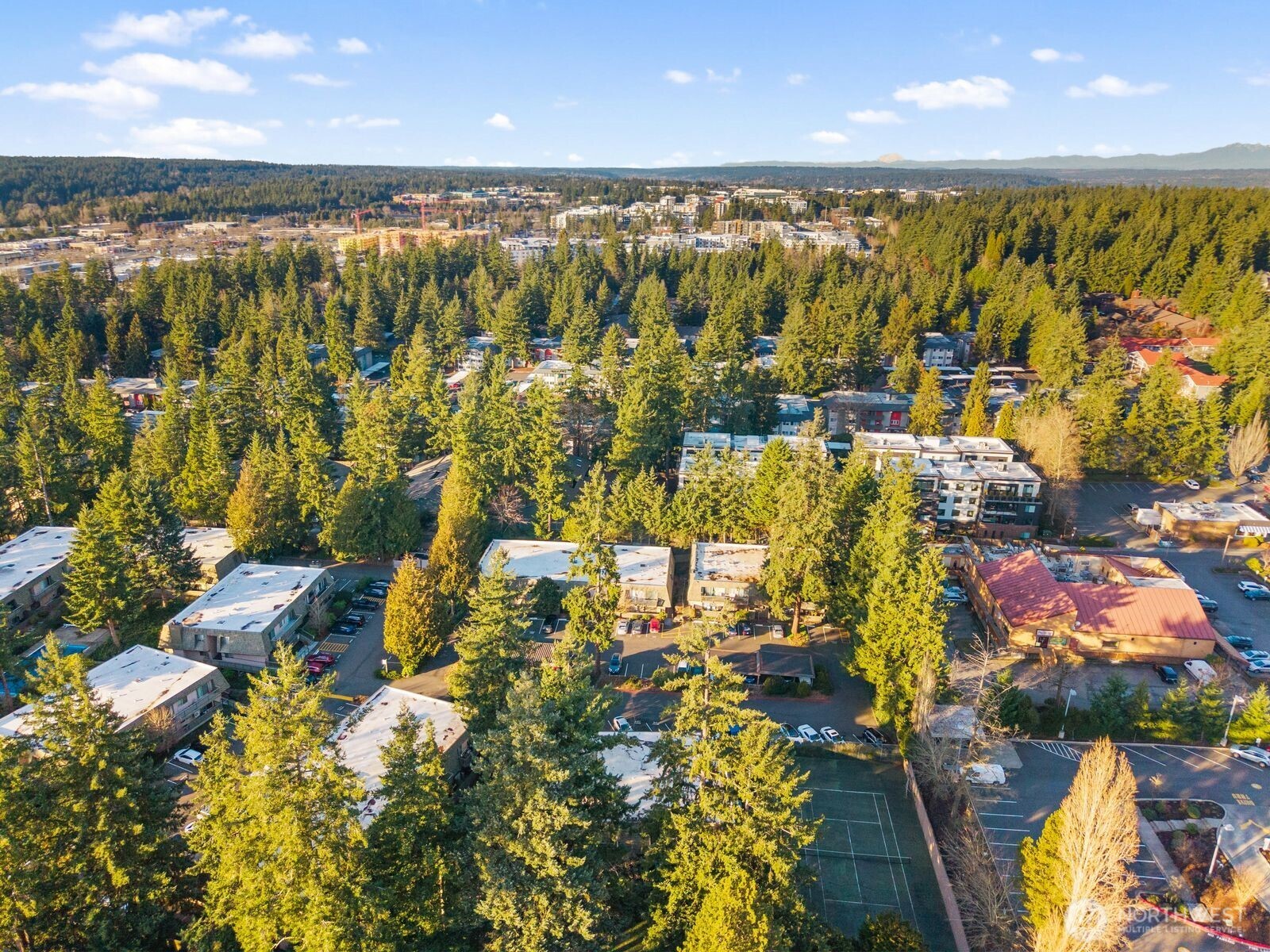 1414 154th Avenue NE #4406, Bellevue, WA 98007