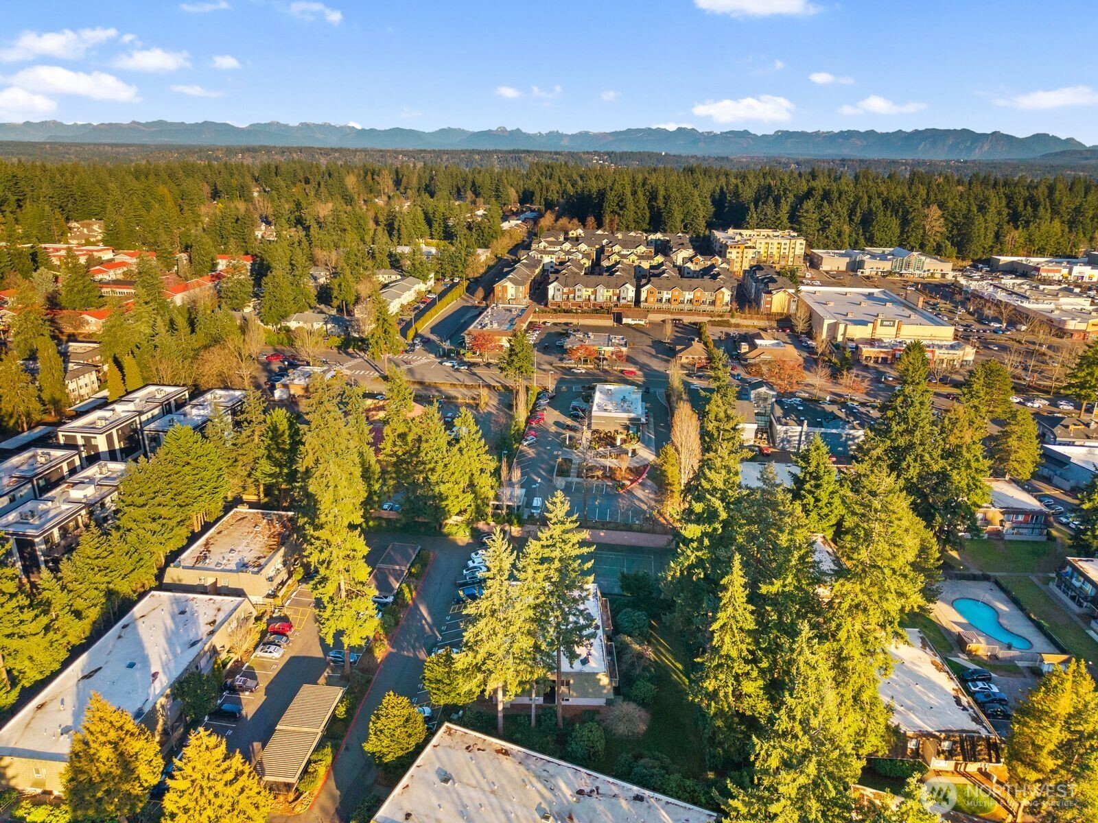 1414 154th Avenue NE #4406, Bellevue, WA 98007