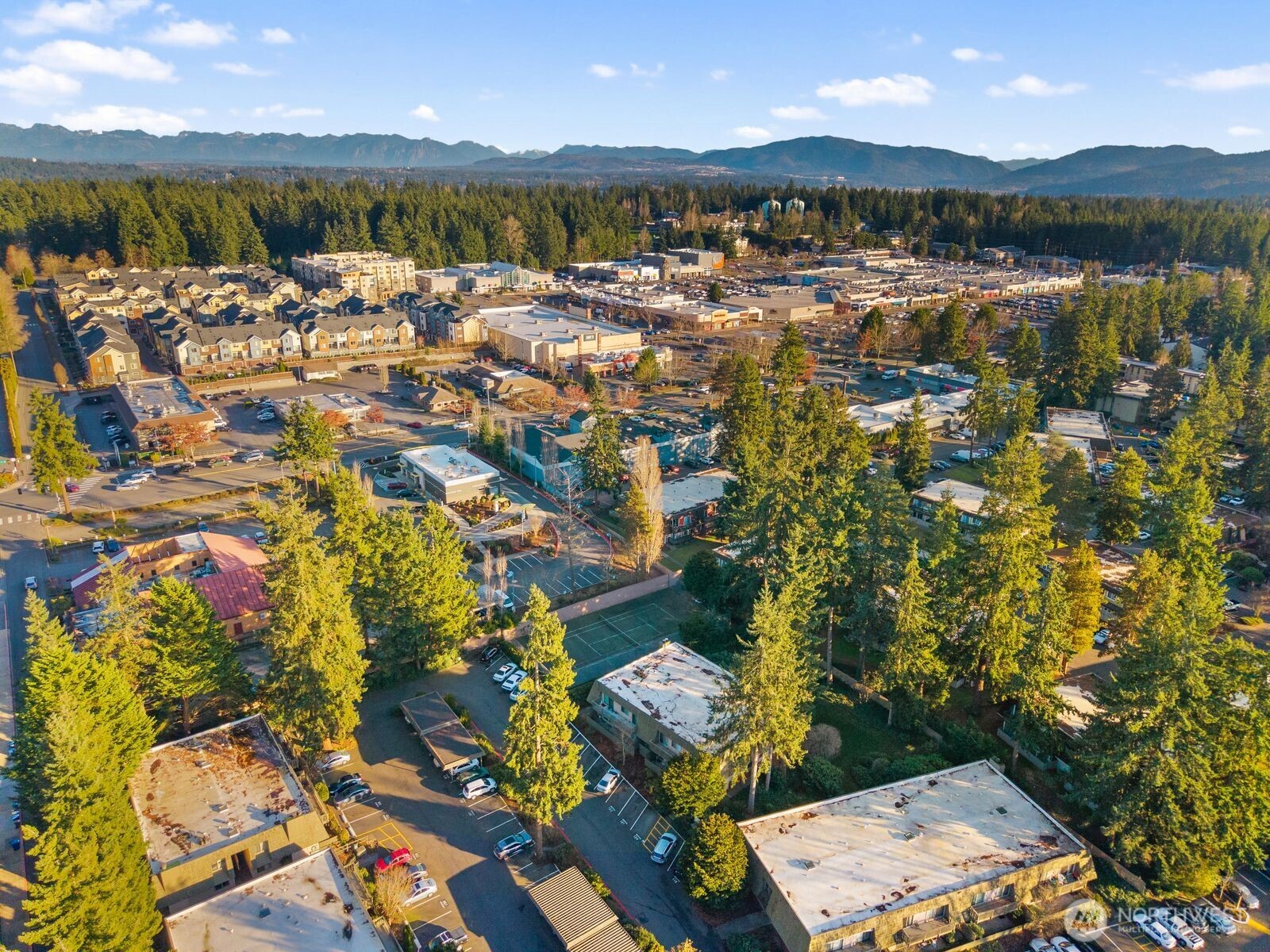 1414 154th Avenue NE #4406, Bellevue, WA 98007