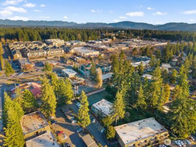 1414 154th Avenue NE #4406, Bellevue, WA 98007 - Photo 38