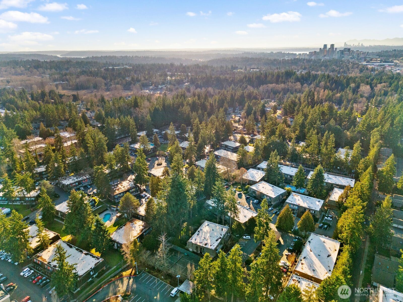 1414 154th Avenue NE #4406, Bellevue, WA 98007