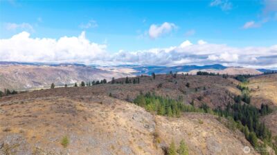 0 TBD Pharr Out - 7 Way , Omak, WA 98841 - Photo 2