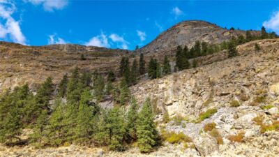 0 TBD Pharr Out - 17 Way , Omak, WA 98841 - Photo 1