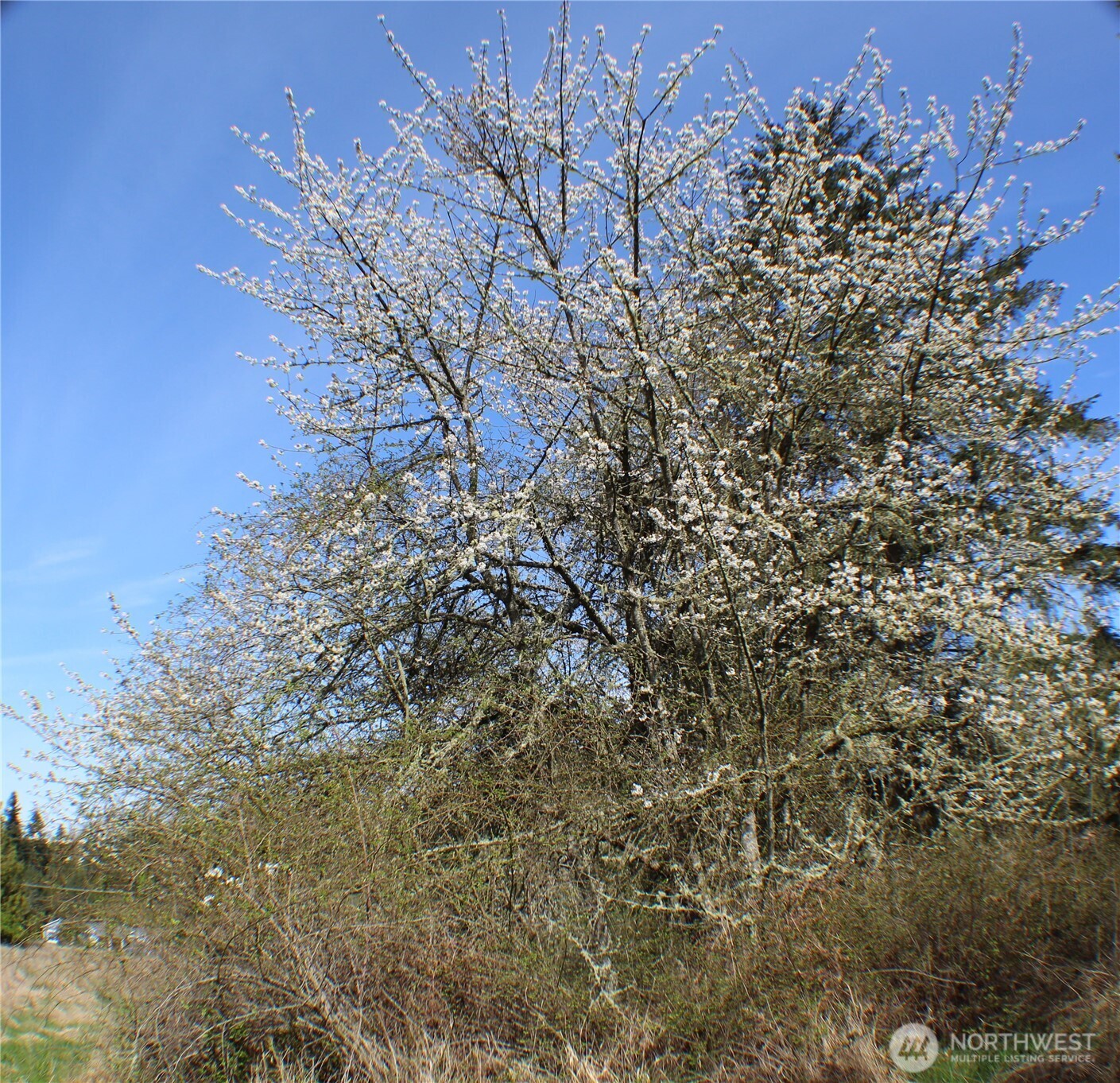 999 Oso Vista Court , Sequim, WA 98382