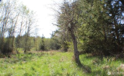 999 Oso Vista Court , Sequim, WA 98382 - Photo 12