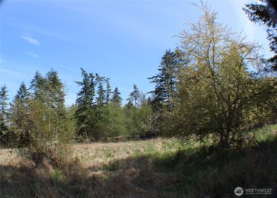 999 Oso Vista Court , Sequim, WA 98382 - Photo 15