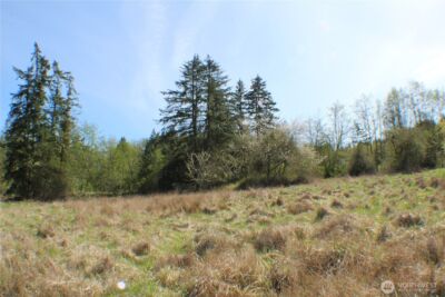 999 Oso Vista Court , Sequim, WA 98382 - Photo 17