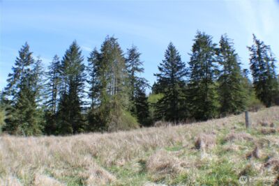 999 Oso Vista Court , Sequim, WA 98382 - Photo 18