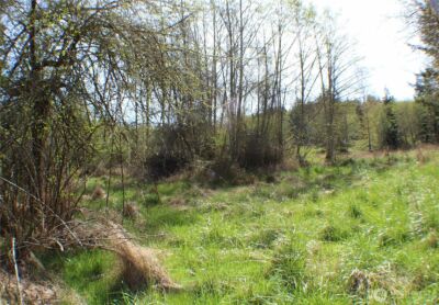 999 Oso Vista Court , Sequim, WA 98382 - Photo 20