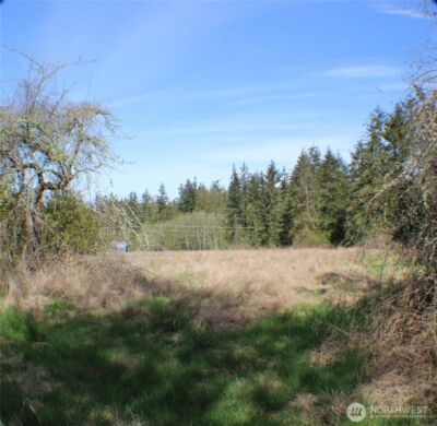 999 Oso Vista Court , Sequim, WA 98382 - Photo 3