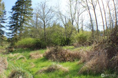 999 Oso Vista Court , Sequim, WA 98382 - Photo 4