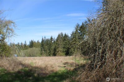 999 Oso Vista Court , Sequim, WA 98382 - Photo 5