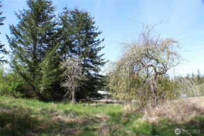 999 Oso Vista Court , Sequim, WA 98382 - Photo 6