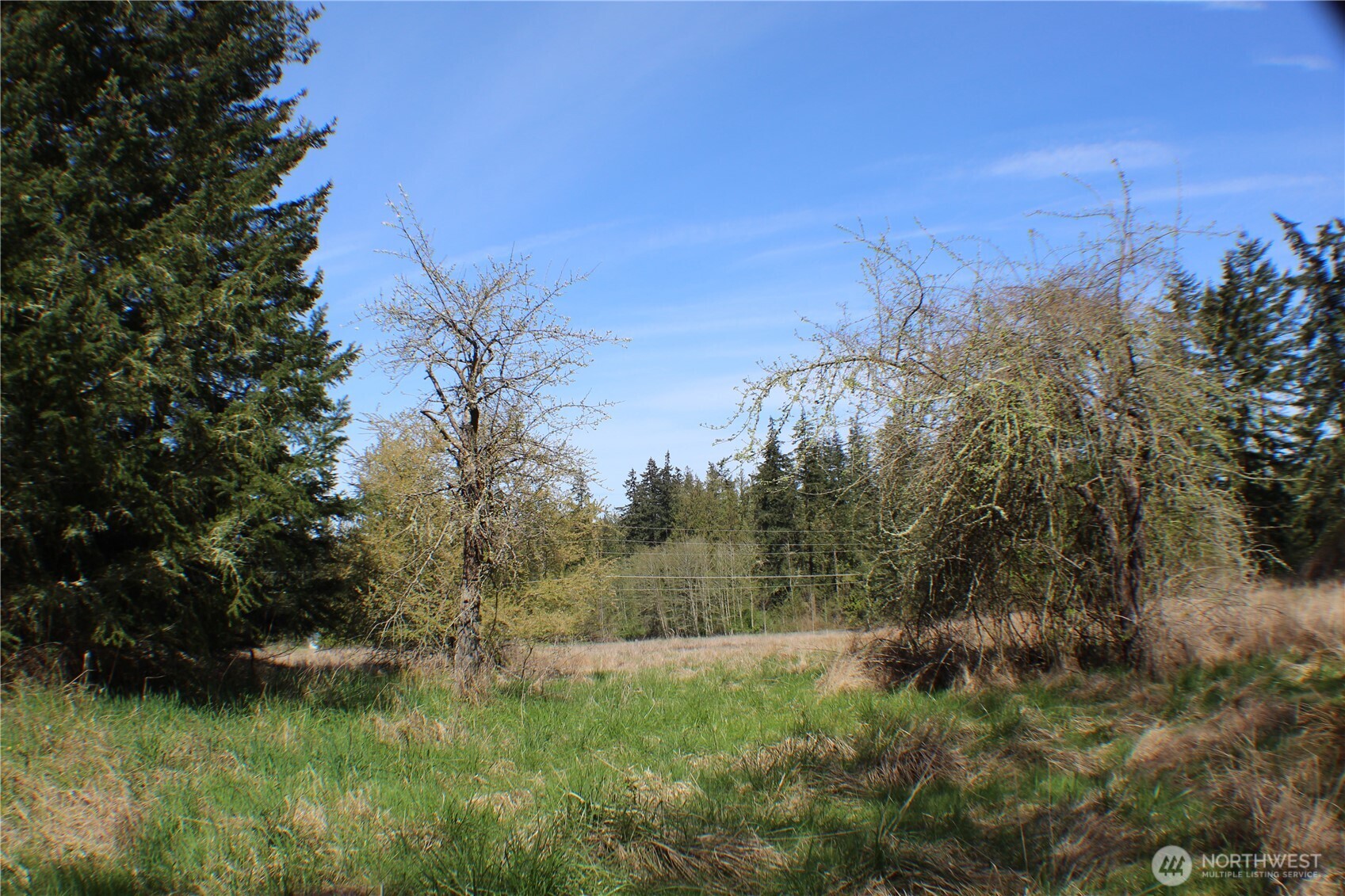 999 Oso Vista Court , Sequim, WA 98382